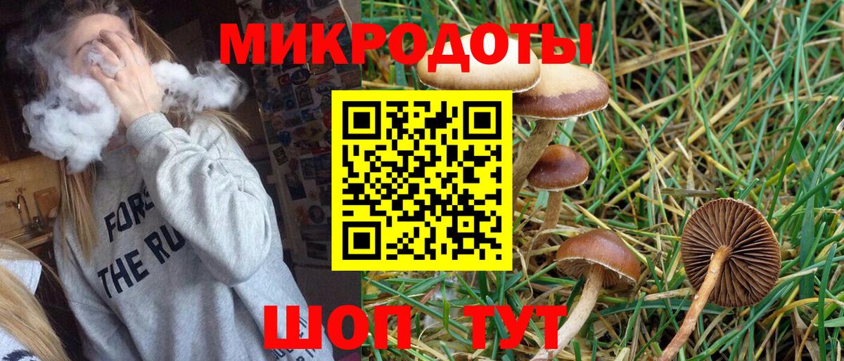 Галлюциногенные грибы Psilocybine cubensis Шебекино