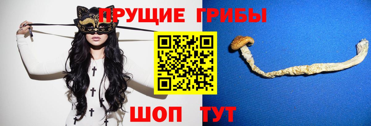 Шебекино  Псилоцибиновые грибы MAGIC MUSHROOMS  Вход с VPN 